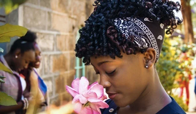 Training your Sense of Smell Improves Cognitive Function